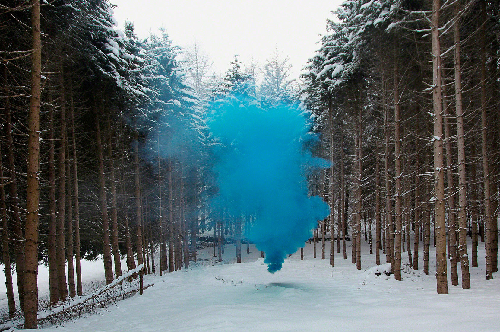 Artist Image - Filippo Minelli